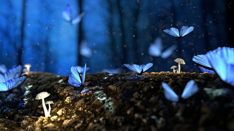 Garden of Eden